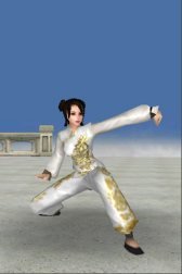 game pic for Kung Fu 3D - Lian Huan Quan